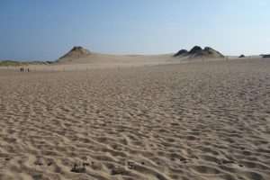 Dune dello Slowinski Park
