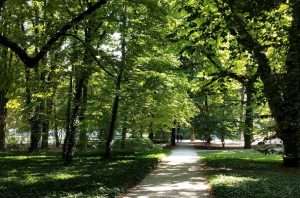 VIali del Parco Lazienki Varsavia