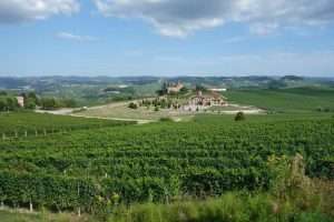 Langhe in Piemonte