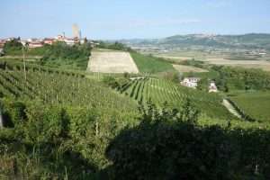Barbaresco nelle Langhe piemontesi