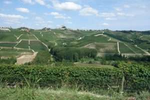 Langhe Roero cosa vedere Piemonte