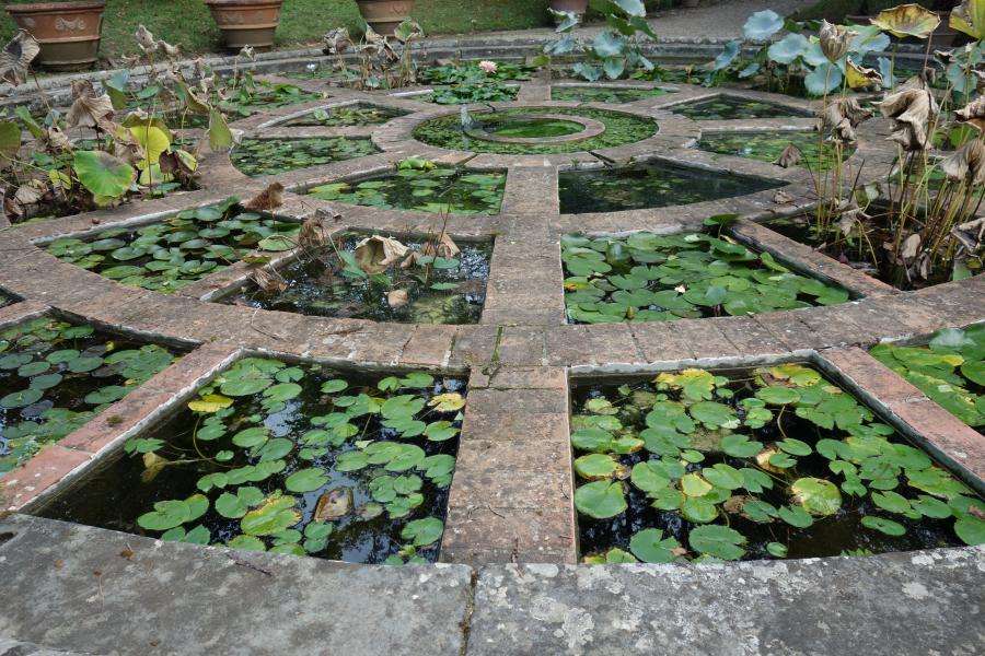 Ninfee al Giardino di Boboli