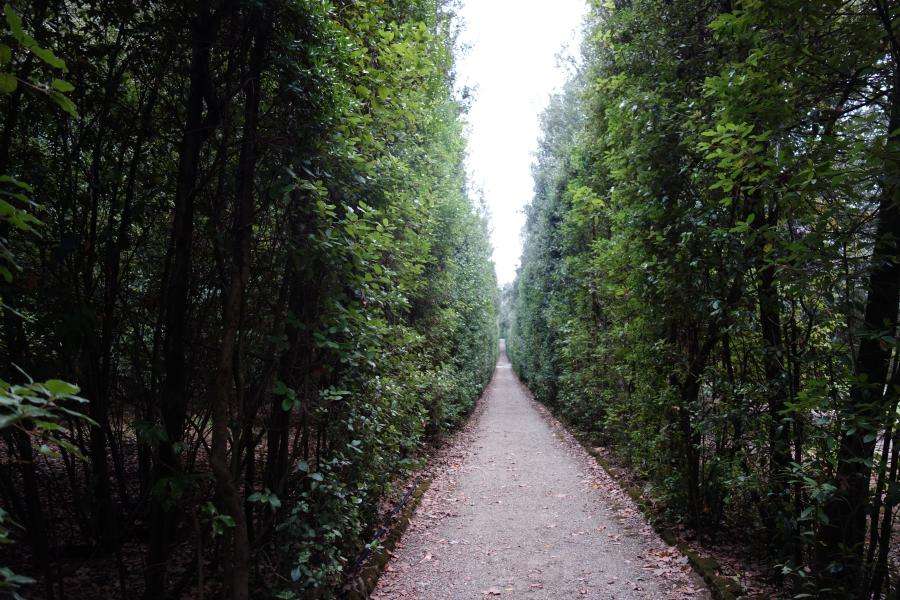 Ragnaie del parco di Boboli
