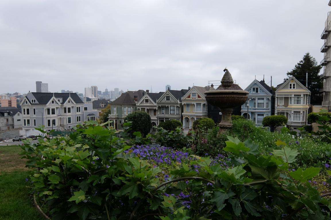 Painted ladies San Francisco cosa vedere Painted ladies San Francisco cosa vedere