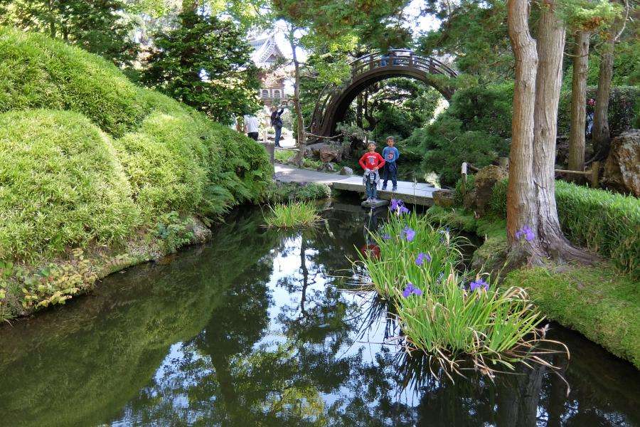 Giardino giapponese nel Golden Gate Park