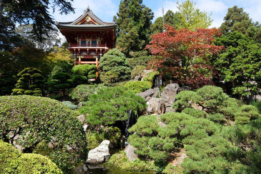 Giardino giapponese nel parco di San Francisco