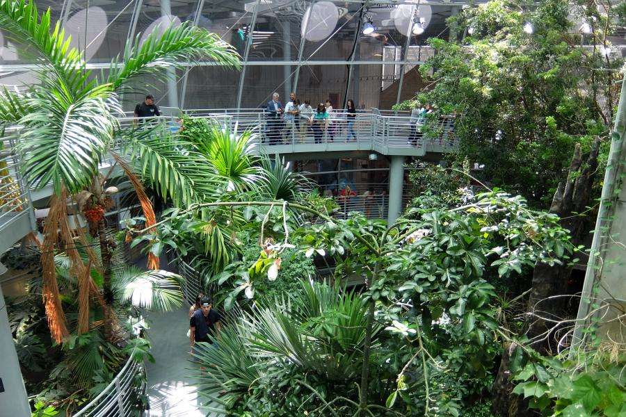 California Academy of Sciences nel Golden Gate Park
