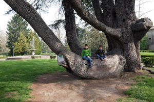 Parco Massari di Ferrara cosa vedere in camper