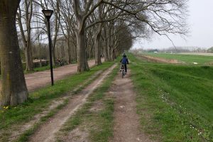 Ciclabile di Ferrara cosa vedere e fare in un giorno
