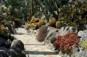 Jardin Exotique di Monaco cosa vedere Costa Azzurra