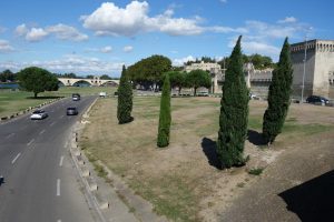 Avignone cosa vedere Provenza on the road