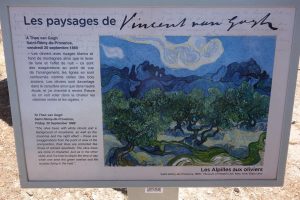Saint Rémy de Provence cosa vedere Van Gogh