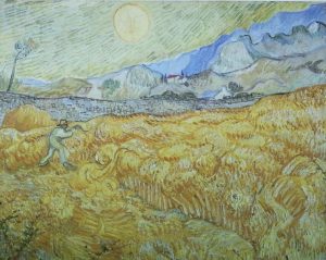 Saint Rémy de Provence cosa vedere Van Gogh