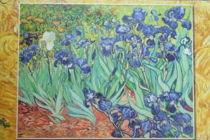 Saint Rémy de Provence cosa vedere Van Gogh