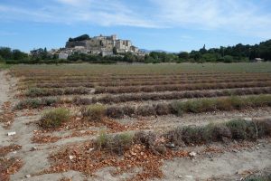 Grignan cosa vedere in Provenza on the road