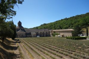 Abbazia di Senanque cosa vedere on the road