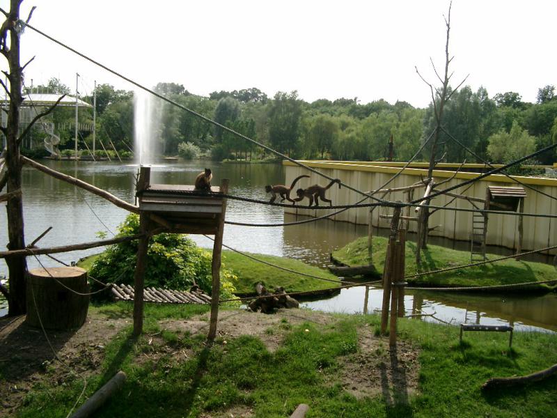 Arcen cosa vedere Olanda o Paesi Bassi
