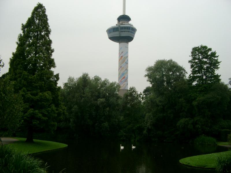 Rotterdam cosa vedere on the road