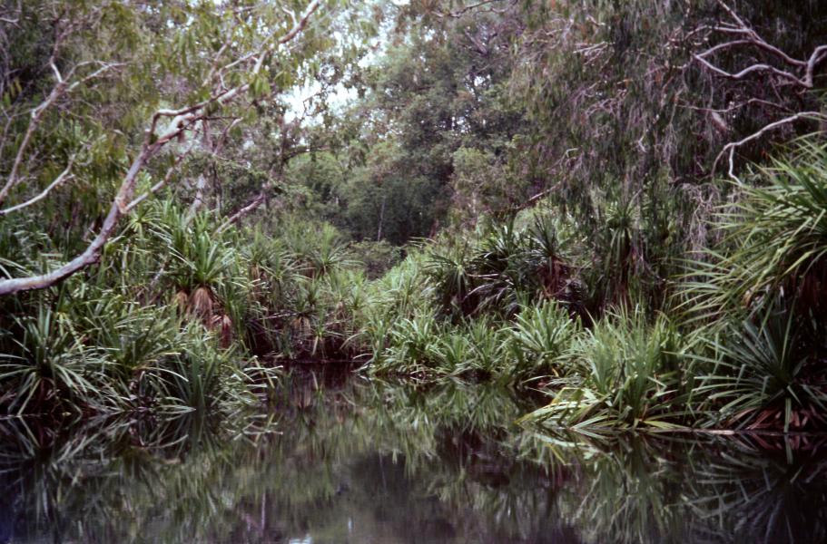 Kakadu National Park cosa vedere Australia