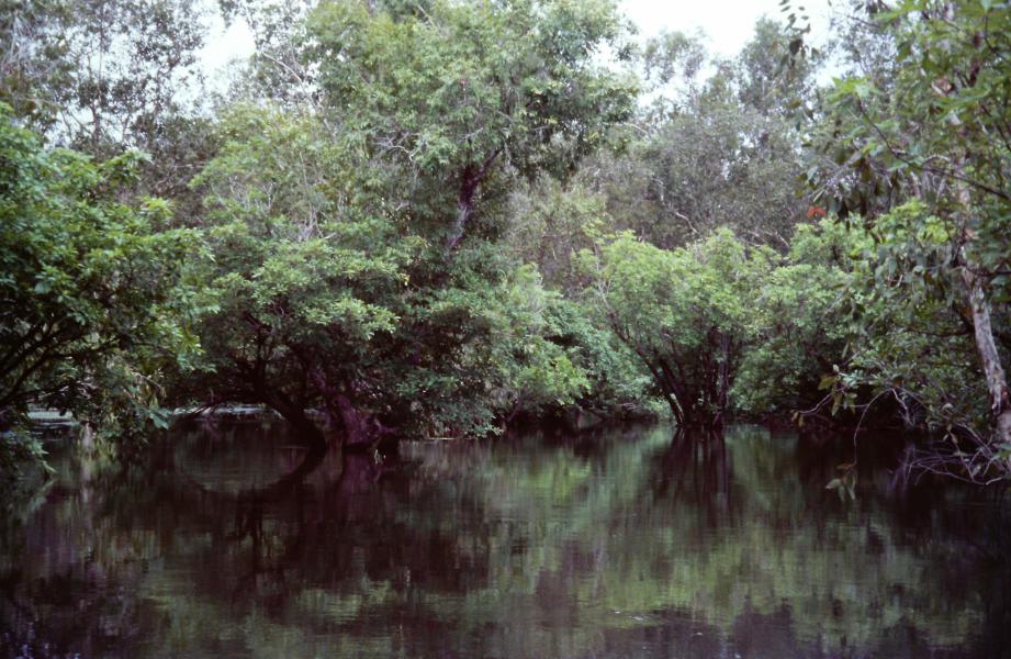 Kakadu National Park cosa vedere Australia
