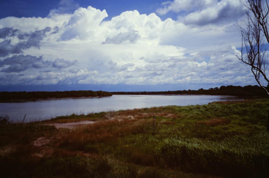 Yellow River Kakadu National Park cosa vedere Australia