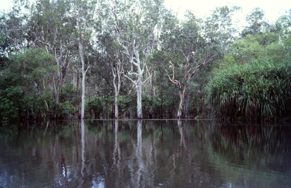 Kakadu National Park cosa vedere Australia