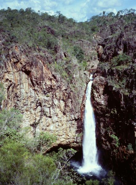 Litchfield National Park cosa vedere Australia