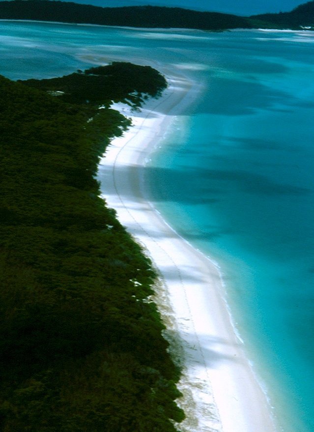 Whitehaven Beach cosa vedere Airlie Beach