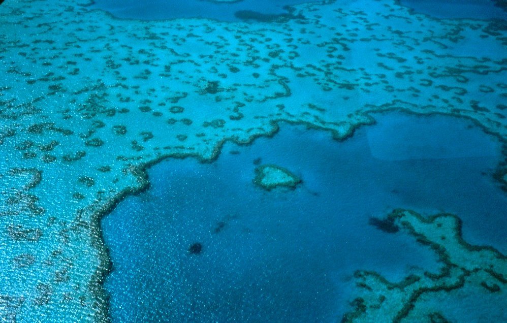 Heart Reef Australia cosa vedere e fare