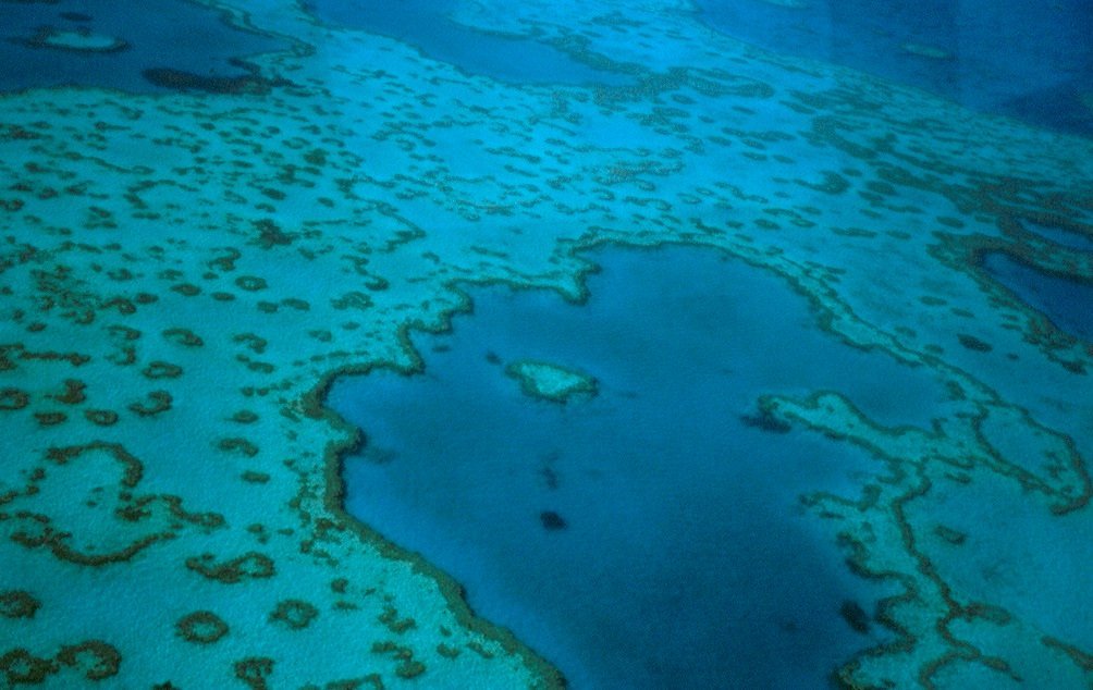 Great Barrier Reef cosa vedere Australia
