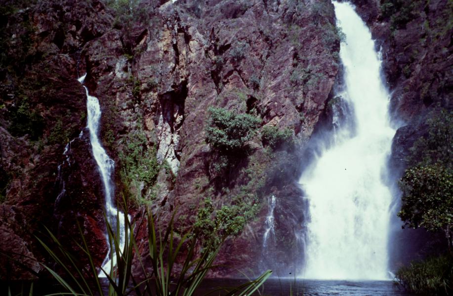 Litchfield National Park cosa vedere Australia