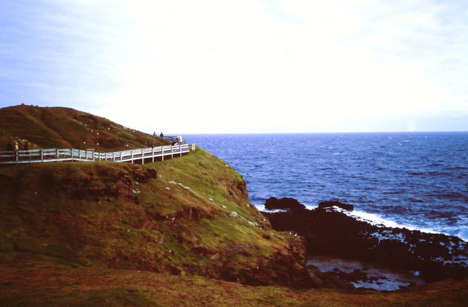 Phillip Island cosa vedere Victoria Australia