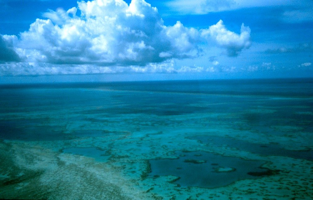 Grande barriera corallina australiana cosa fare