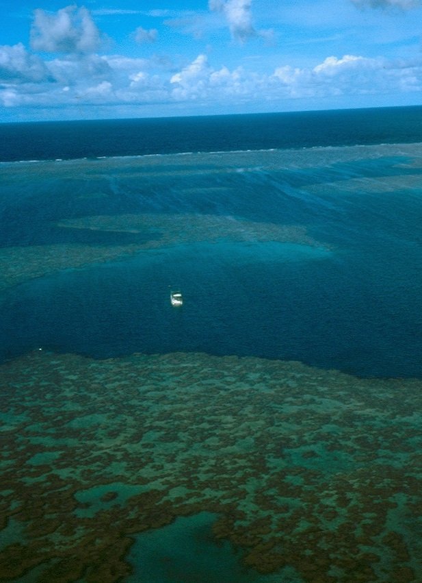 Grande Barriera corallina australiana cosa fare