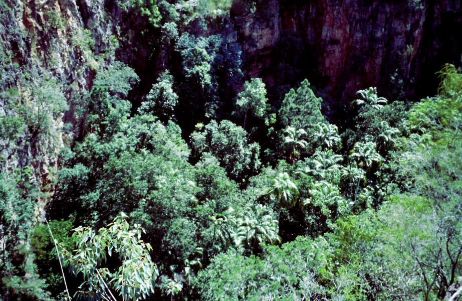 Litchfield National Park cosa vedere Australia