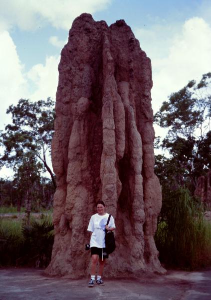 Litchfield National Park cosa vedere Australia
