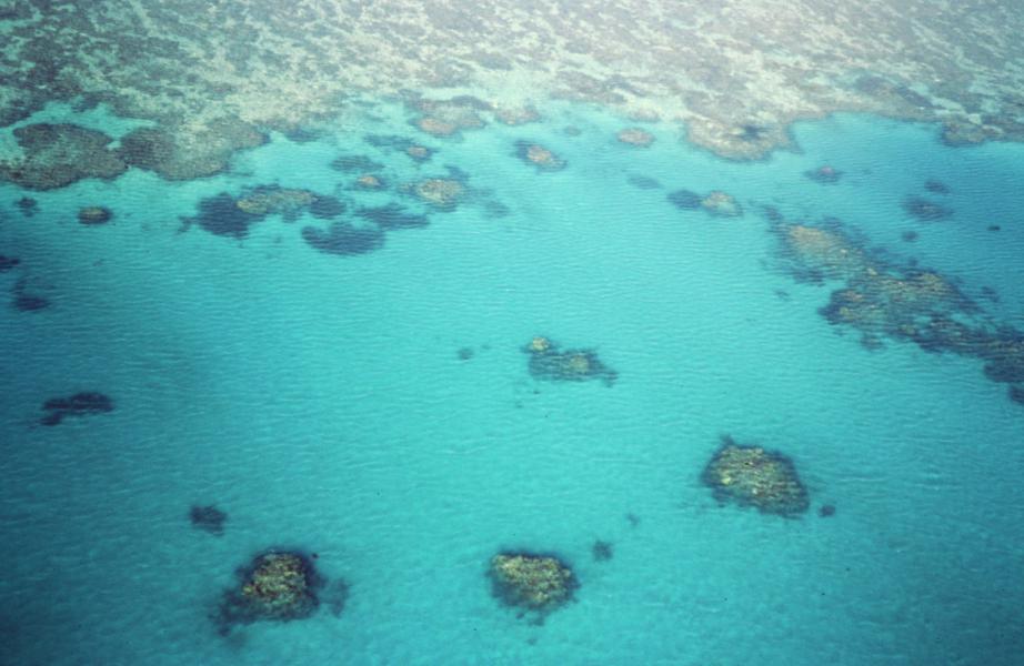 Grande Barriera corallina australiana cosa vedere