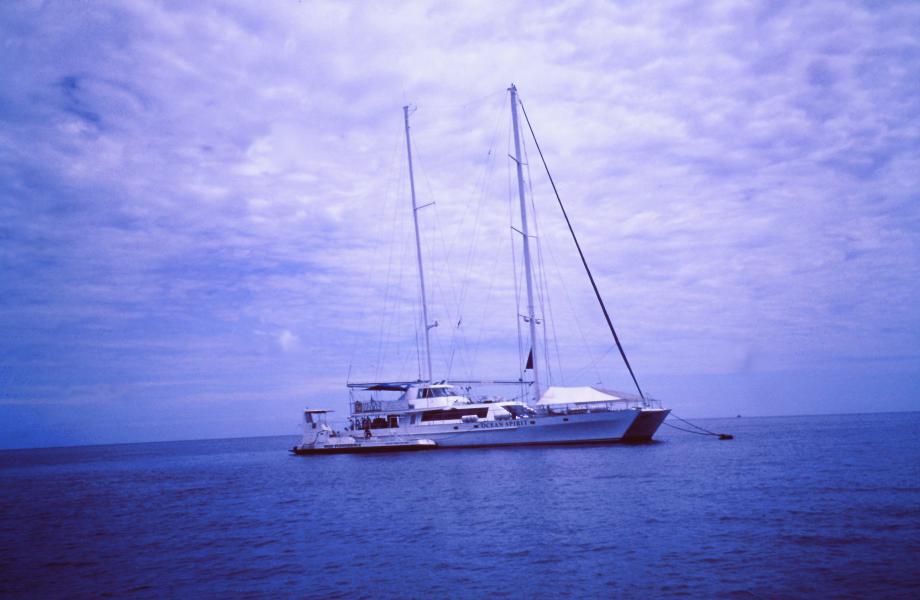 Barriera corallina cosa vedere Queensland
