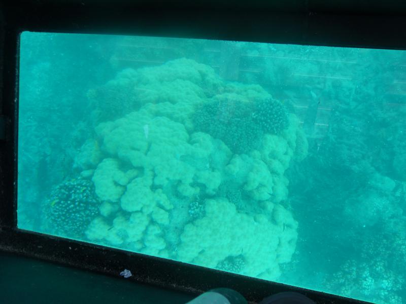 Barriera corallina cosa vedere Australia