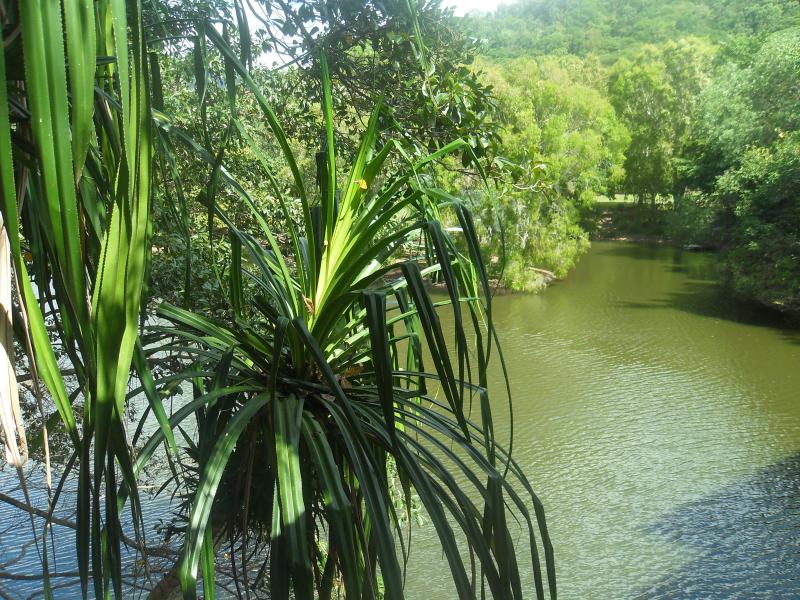 Queensland cosa vedere