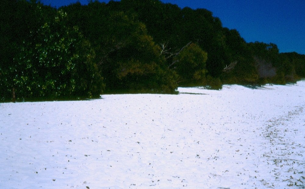 Whitehaven Beach cosa vedere Whitsunday Islands