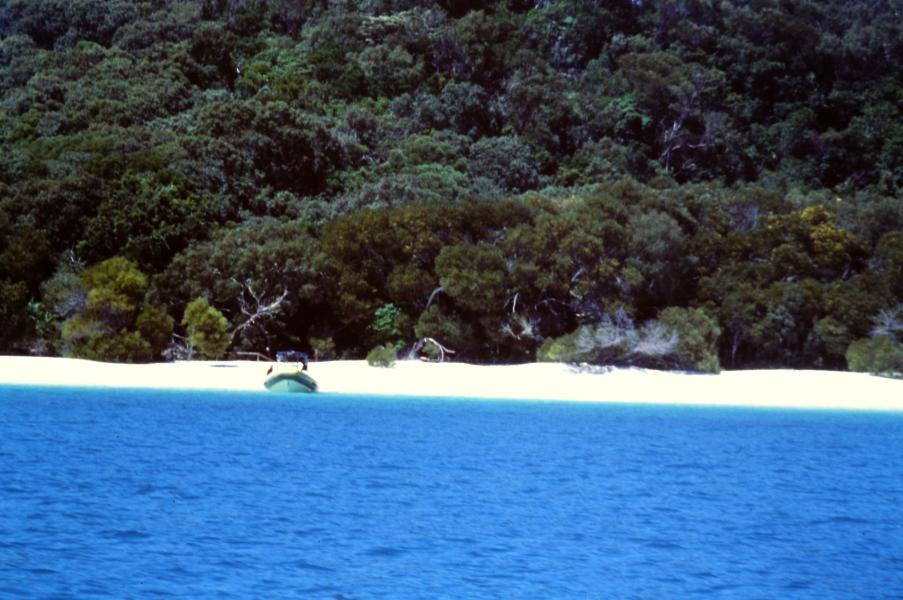 Whitehaven Beach cosa vedere Australia