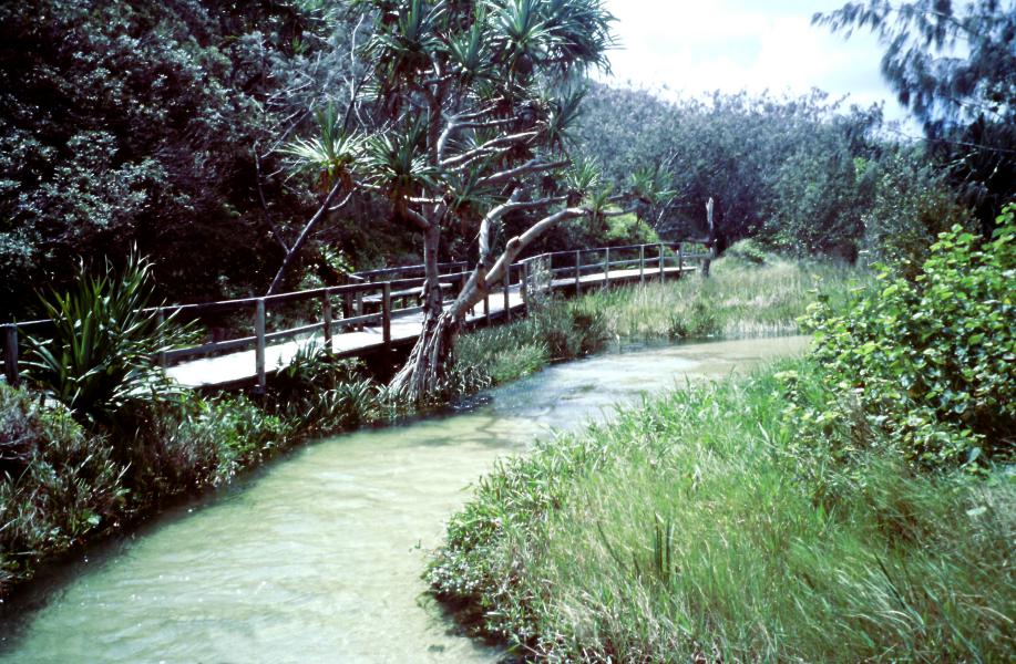 Fraser Island cosa vedere Australia