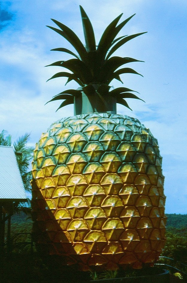 Queensland cosa vedere