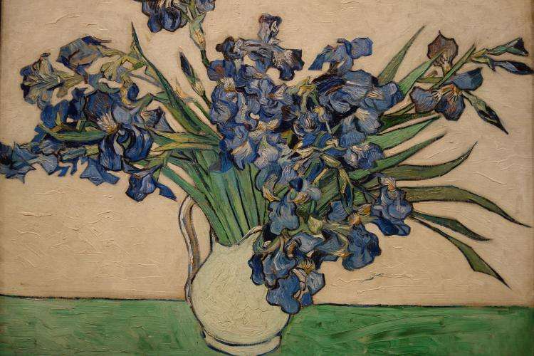 Iris di Van Gogh MoMa cosa vedere