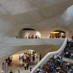 Natural History Museum di New York cosa vedere