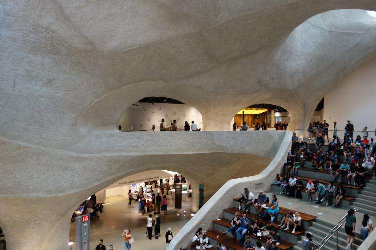 Natural History Museum di New York cosa vedere