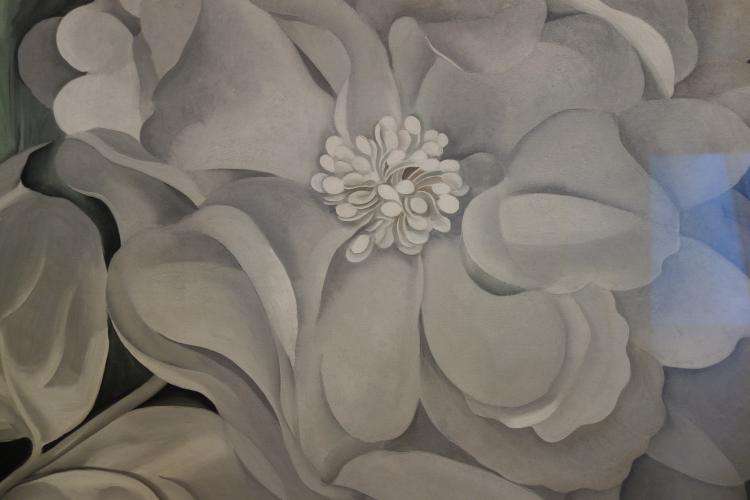 Georgia O'Keeffe Whitney Museum cosa vedere