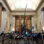 Museo di storia naturale di New York cosa vedere in una settimana