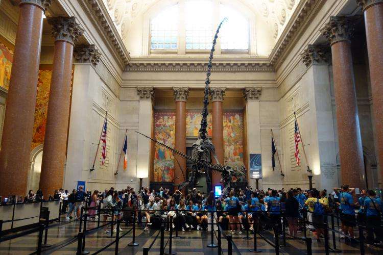 Museo di storia naturale di New York cosa vedere in una settimana